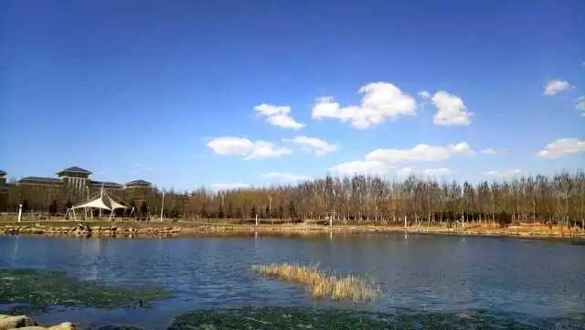 林志玲360无死角是真的美,全球最美360无死角的美女