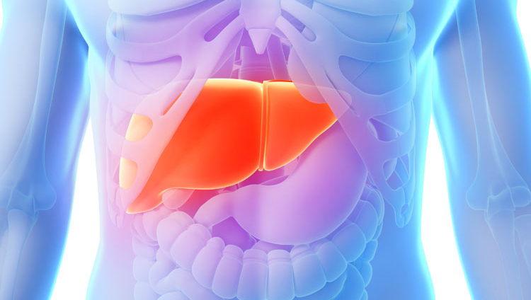 尿液变颜色了是什么情况,尿液黄怎么回事是上火还是肾不好