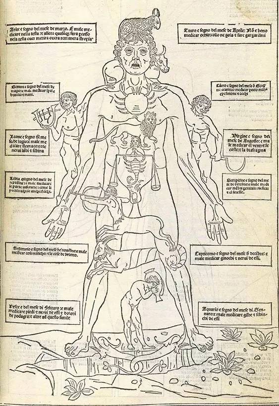 到头方信鬼无皮│左图右史