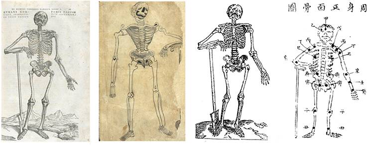 到头方信鬼无皮│左图右史