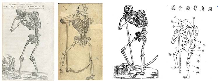 到头方信鬼无皮│左图右史