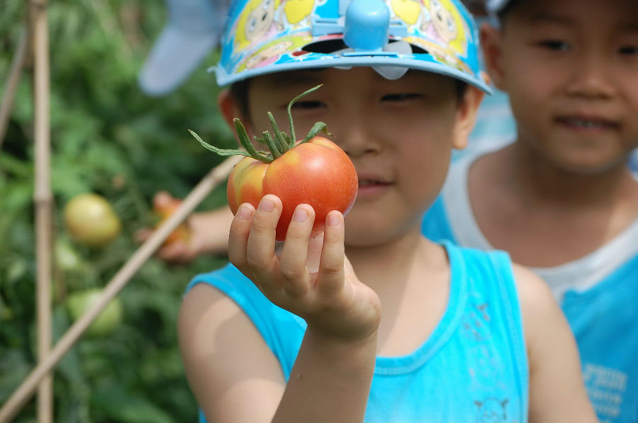 一家有自己农场的幼儿园，关于教育的思考（二）
