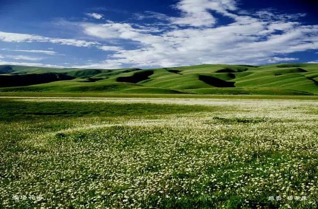 四川不可不去的十个景区,四川湿地风景区