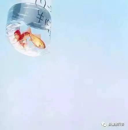 朋友圈高级拍照教程,怎样的拍照方式使朋友圈变高级