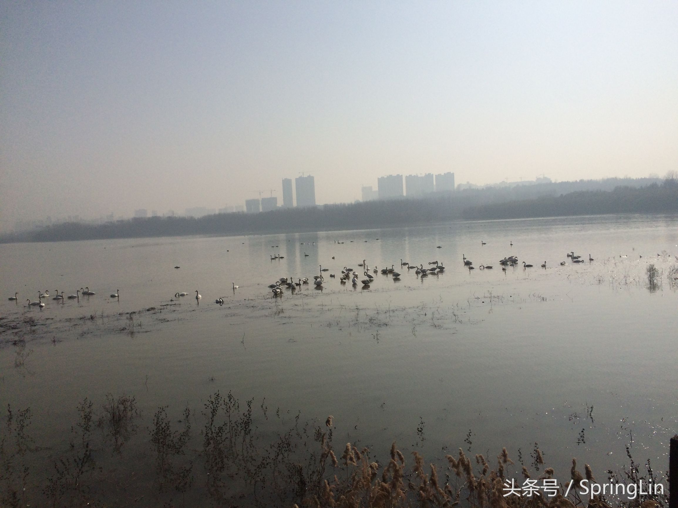 三门峡豫西大峡谷旅游攻略,豫西三门峡全景图