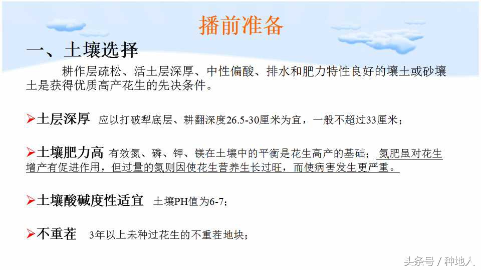 已经开始种花生了怎么种,马上要种花生了