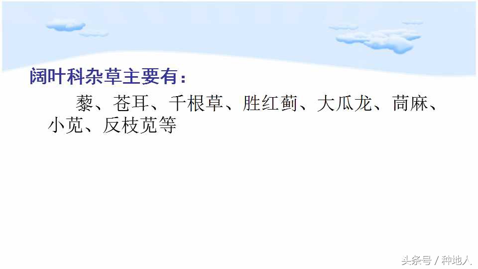 已经开始种花生了怎么种,马上要种花生了