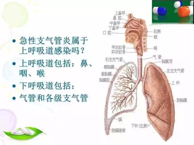 基层用药：各类处方点评之典型案例分析