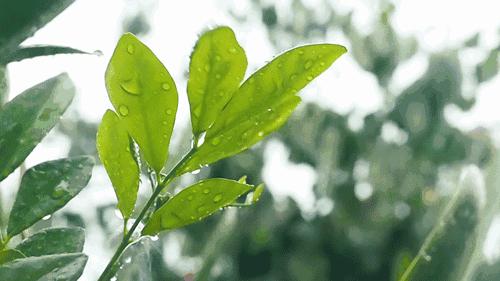 给所有秦皇岛人，这里有一份春天请你查收！