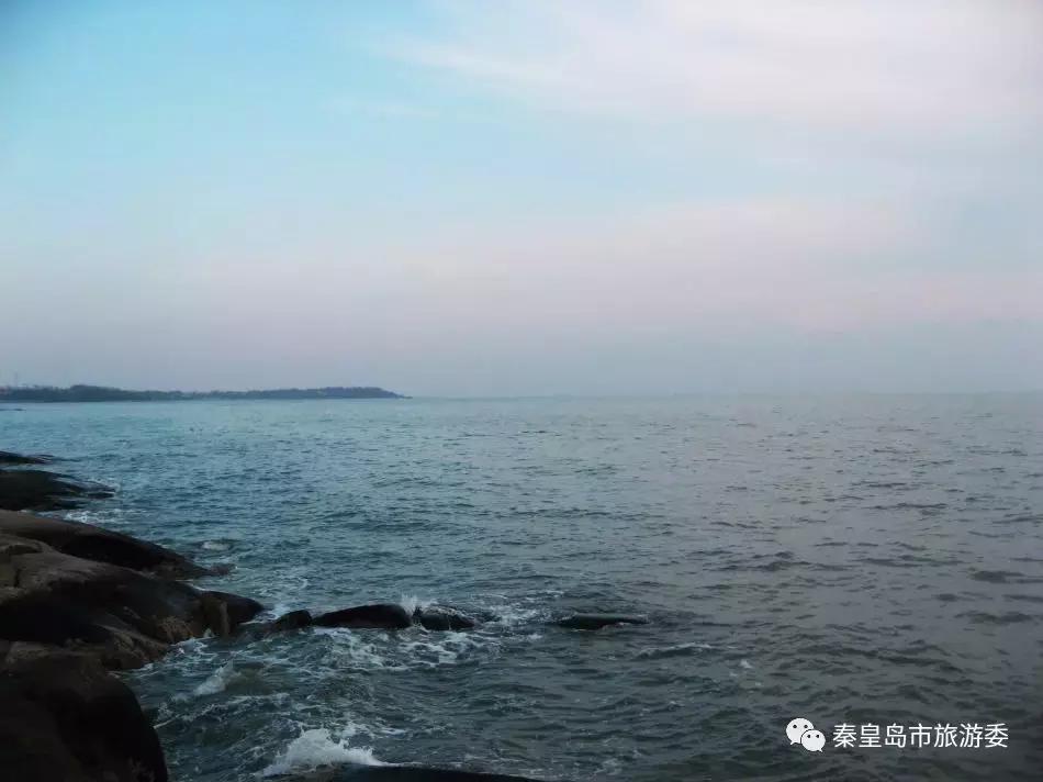 给所有秦皇岛人，这里有一份春天请你查收！