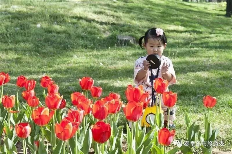 给所有秦皇岛人，这里有一份春天请你查收！