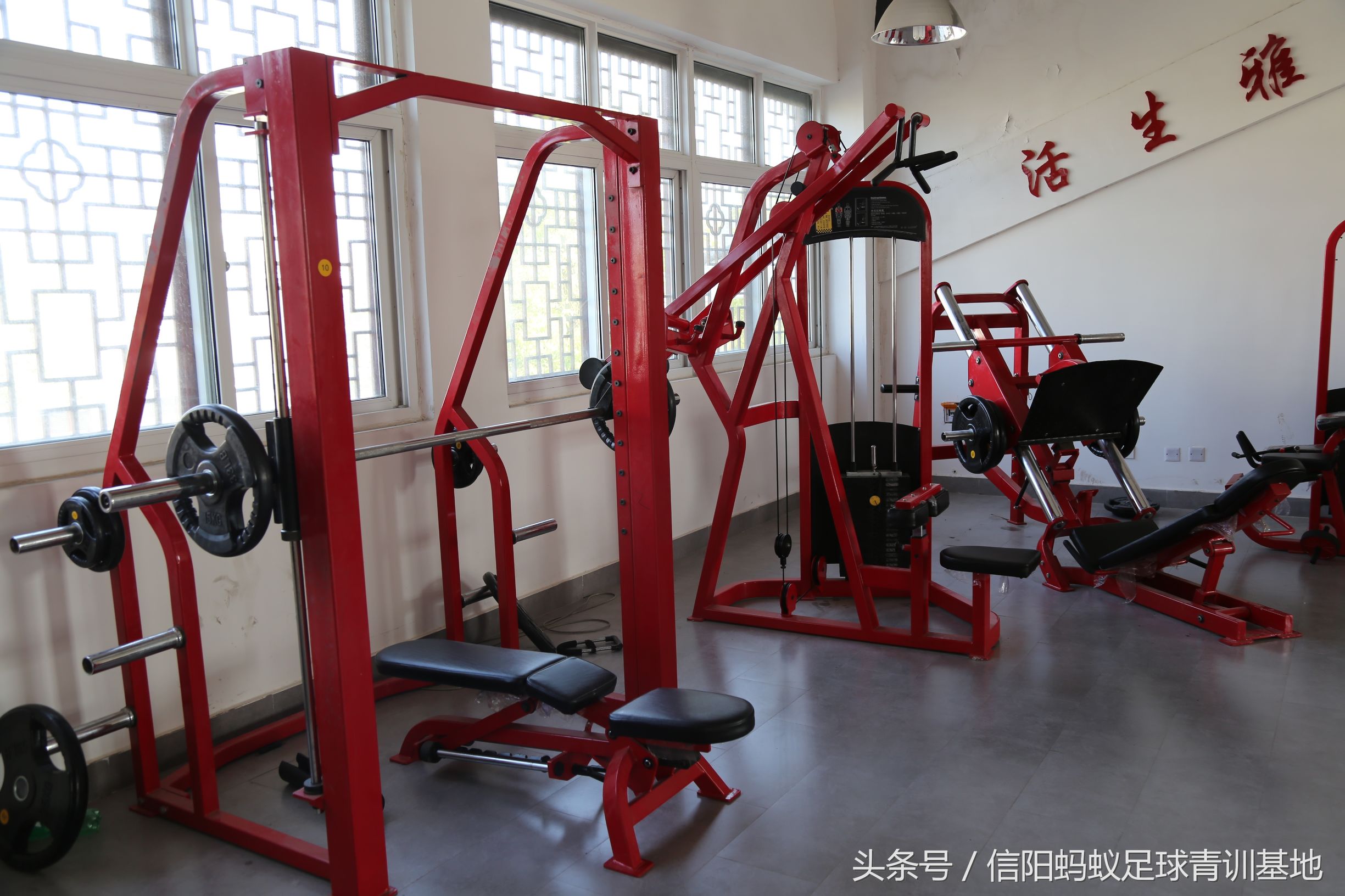 信阳蚂蚁足球俱乐部,信阳蚂蚁足球