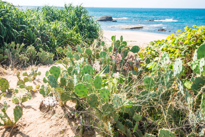 去三亚感受碧海蓝天,享受椰风海韵三亚度假指南精选