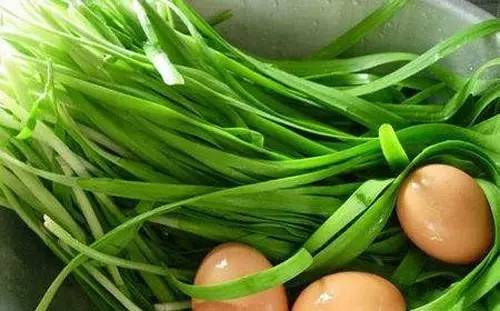 春天的韭菜什么意思,什么季节的韭菜最香