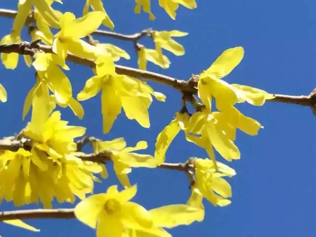 林志玲360无死角是真的美,全球最美360无死角的美女