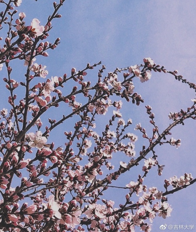 林志玲360无死角是真的美,全球最美360无死角的美女