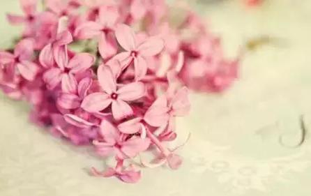 史上最完整的芦荟胶使用大全，正在用芦荟胶的你还不点进来看下