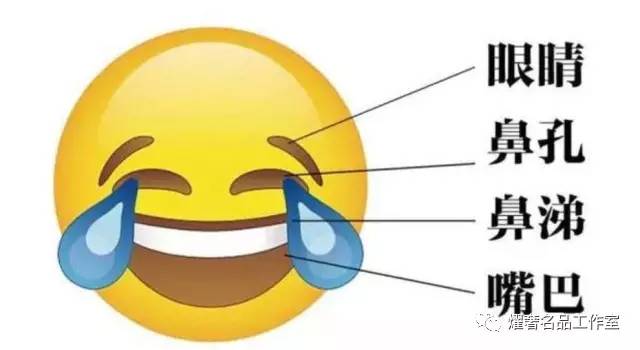 hermes爱马仕丝巾故事,hermes丝巾有什么系列