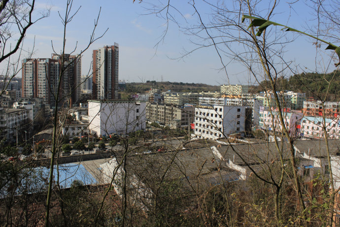 *光烈梁**故乡，中国麦冬名城：四川三台