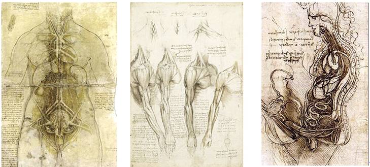 到头方信鬼无皮│左图右史