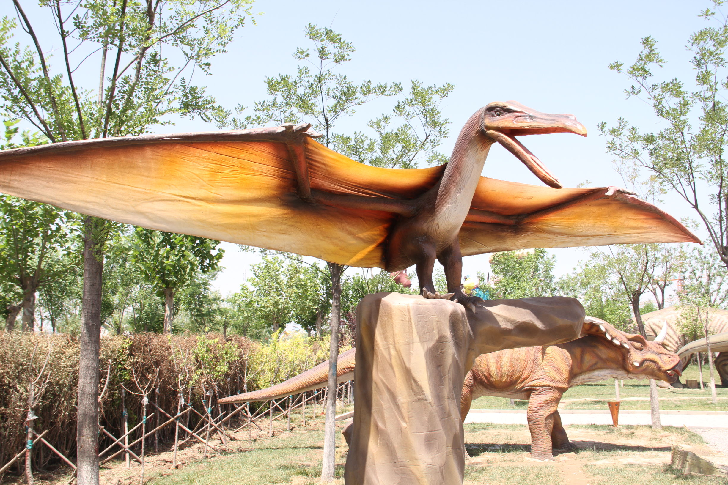 天津光合谷温泉酒店,天津光合谷公园地址