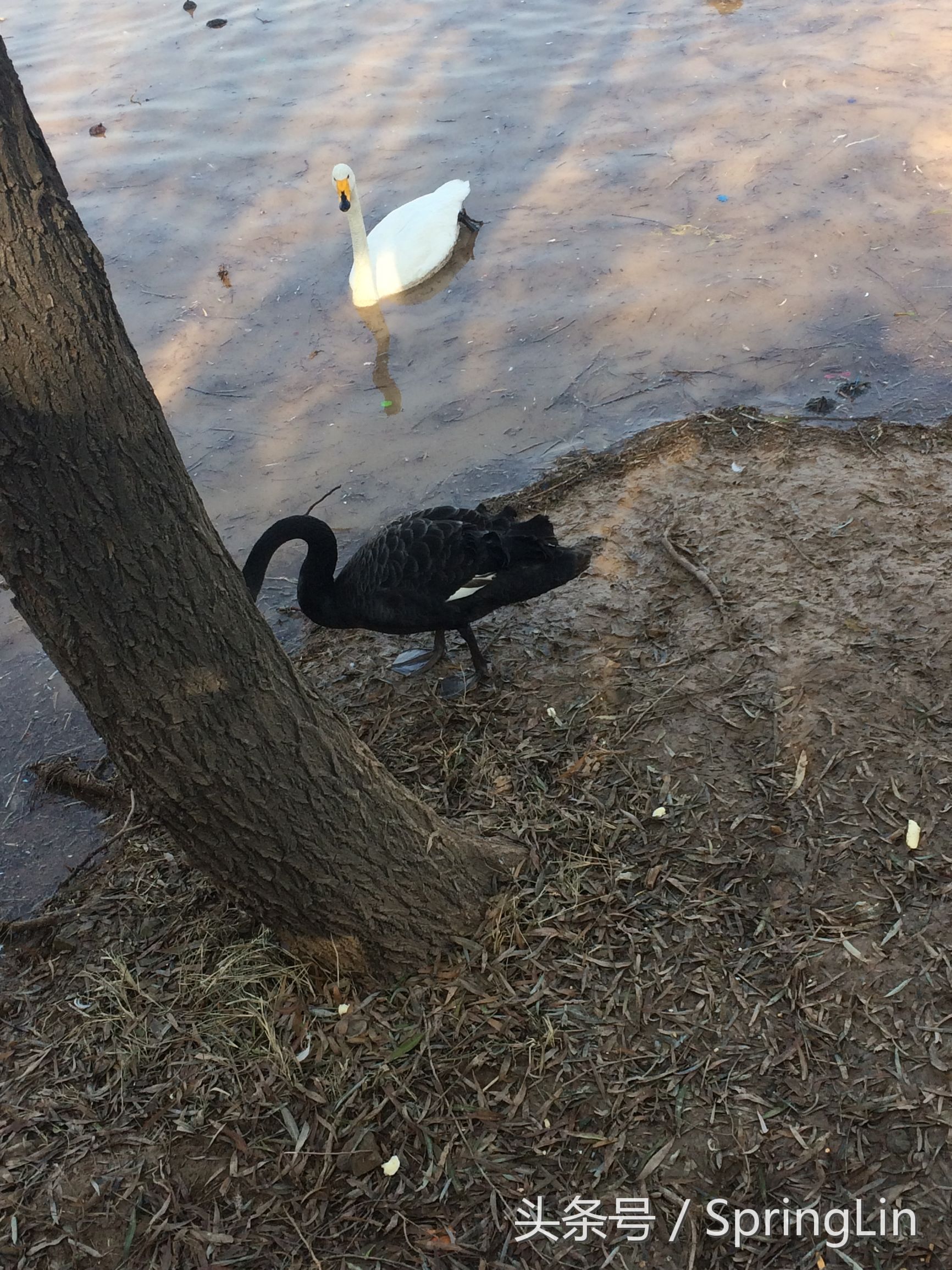 三门峡豫西大峡谷旅游攻略,豫西三门峡全景图