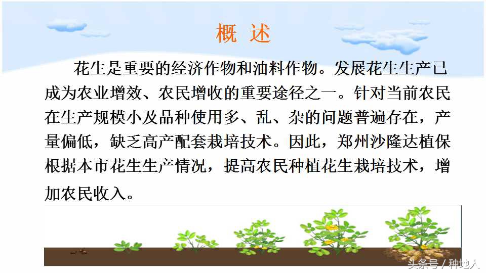 已经开始种花生了怎么种,马上要种花生了