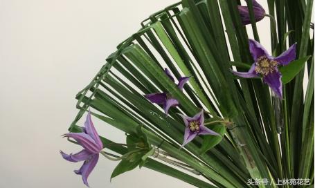 朱永安花艺大师,花艺大师朱永安