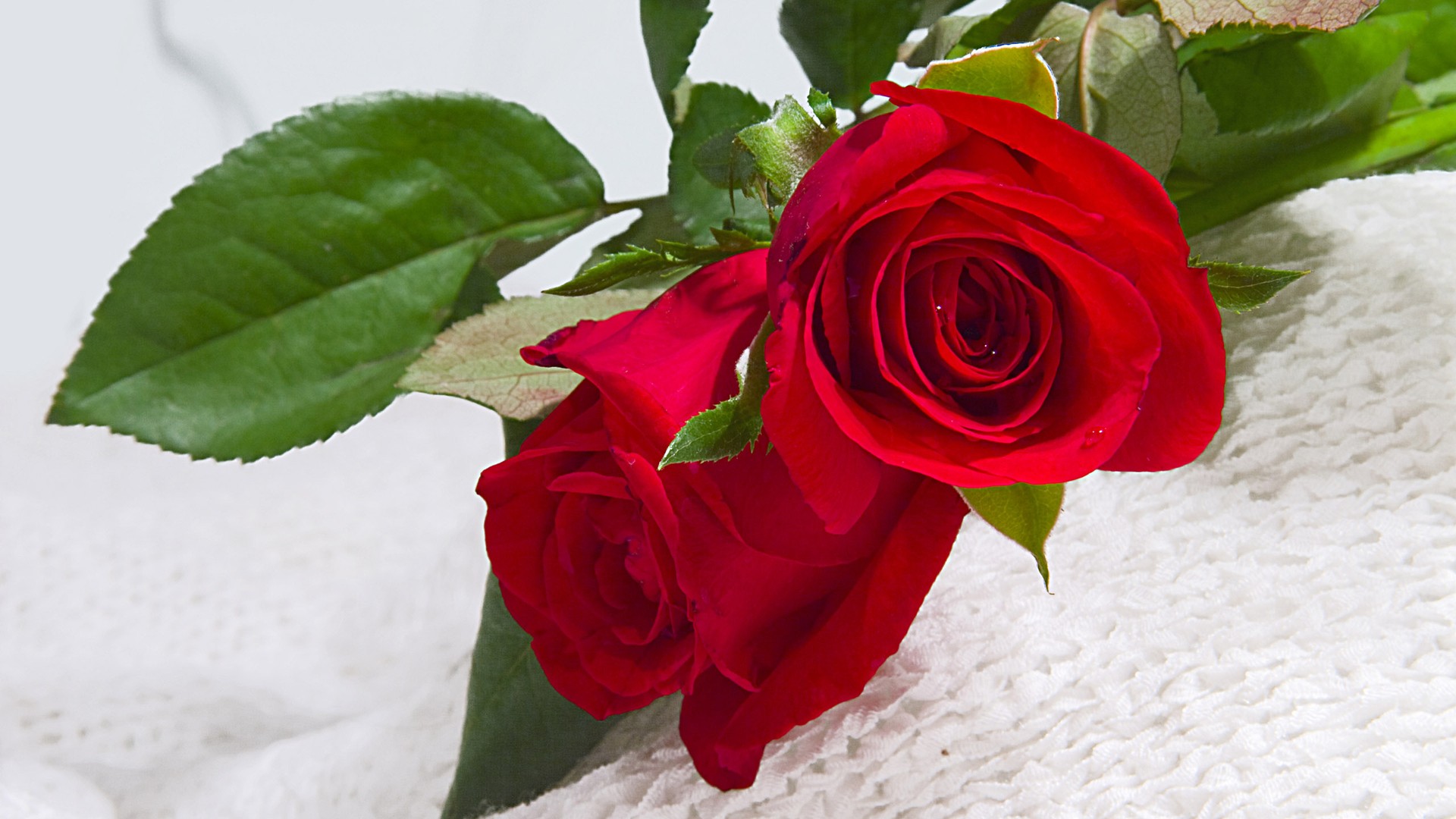 女神都是怎么练出来的,女神是怎么炼成的脱口秀