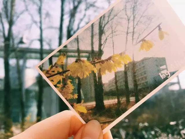 林志玲360无死角是真的美,全球最美360无死角的美女