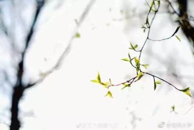 林志玲360无死角是真的美,全球最美360无死角的美女