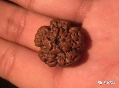 正品金刚和仿品金刚,变形金刚假的冒牌货