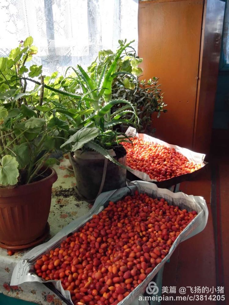 2018贝加尔湖自驾游,贝加尔湖畔自驾游全集