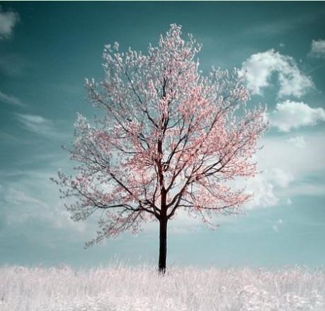 史上最完整的芦荟胶使用大全，正在用芦荟胶的你还不点进来看下