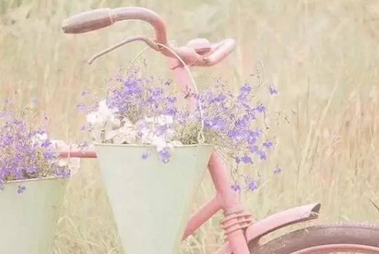 史上最完整的芦荟胶使用大全，正在用芦荟胶的你还不点进来看下