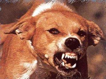 世界十大瘟疫对人类造成的伤害,人类历史上的十大病毒瘟疫