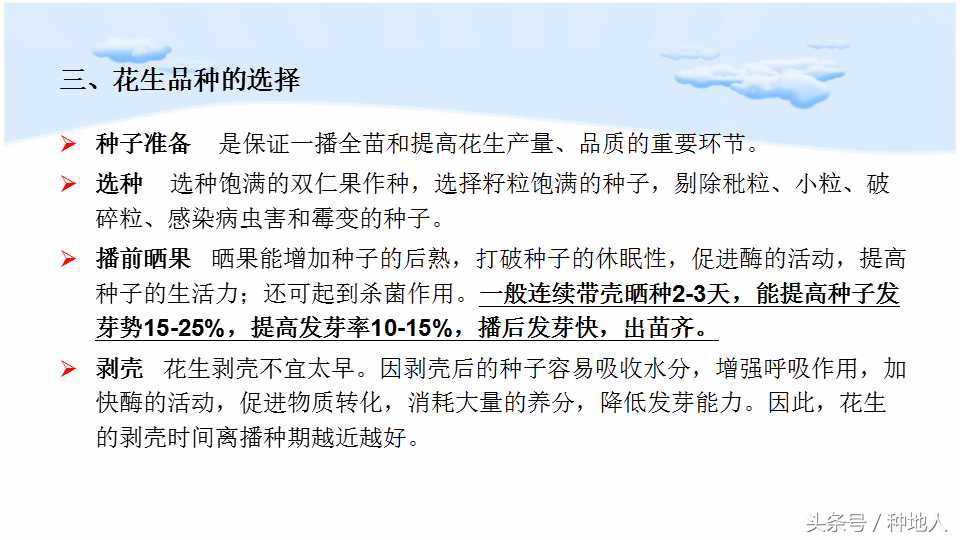 已经开始种花生了怎么种,马上要种花生了