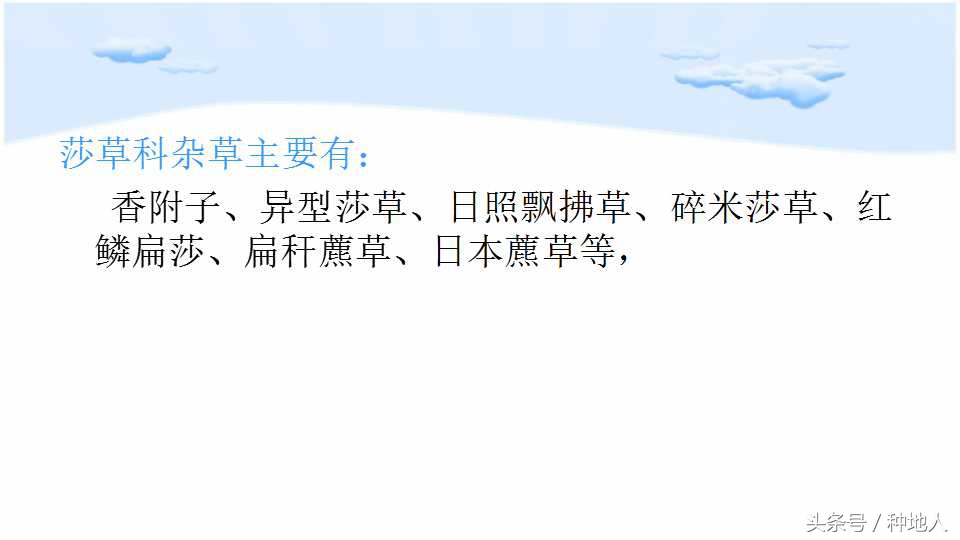 已经开始种花生了怎么种,马上要种花生了