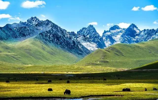 四川不可不去的十个景区,四川湿地风景区