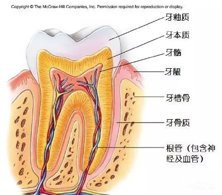 牙釉质磨损遇冷热硬都疼,牙釉质有隐裂怎么办
