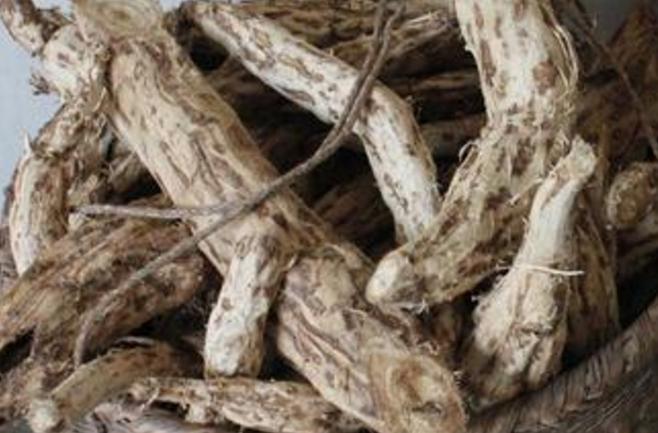 农民葛根,农民挖出250斤巨型葛根