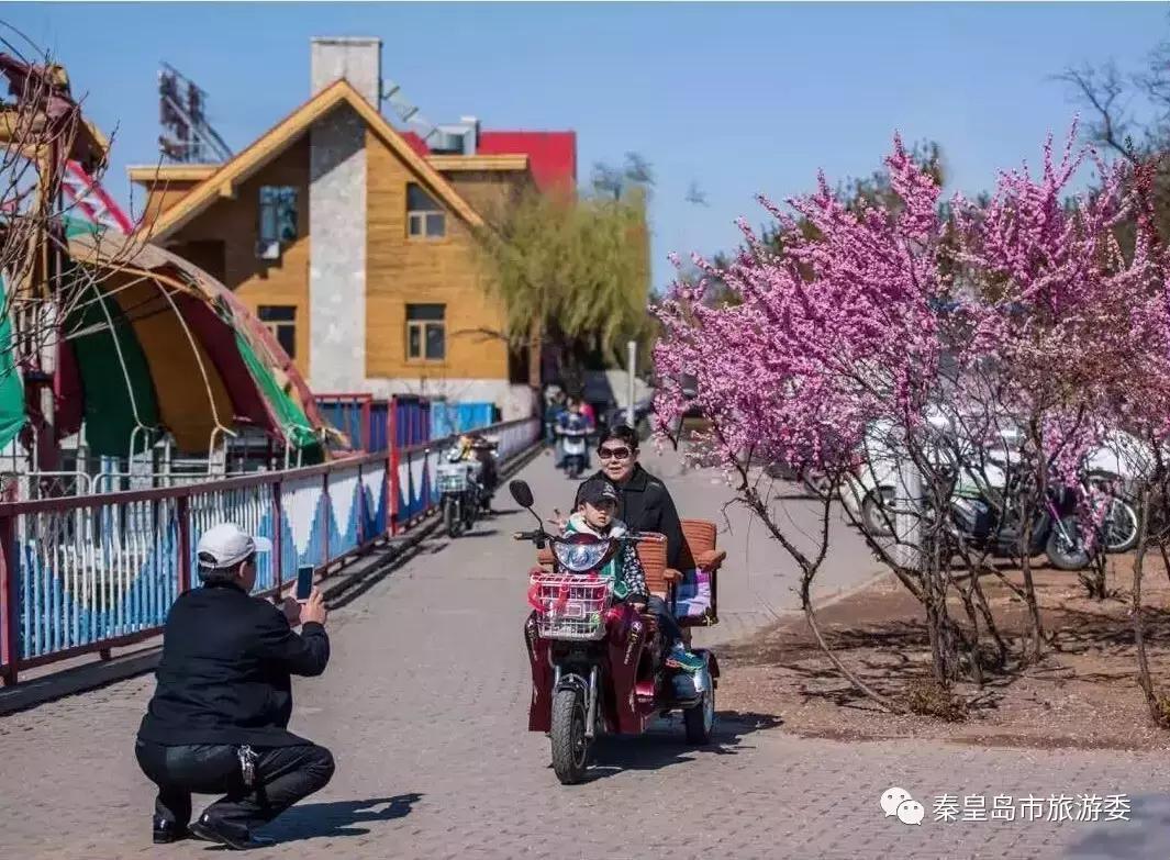 给所有秦皇岛人，这里有一份春天请你查收！