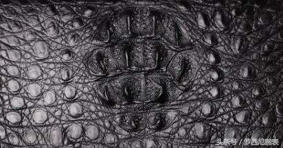 手表皮带男士鳄鱼真皮,皮带是牛皮好还是鳄鱼皮好