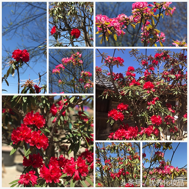 有诗和远方的地方,有诗和远方的故乡