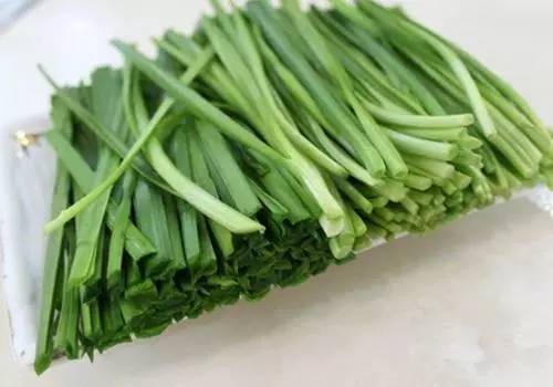 春天的韭菜什么意思,什么季节的韭菜最香