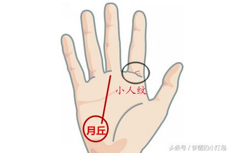 相术看人的聪颖,相术看富贵