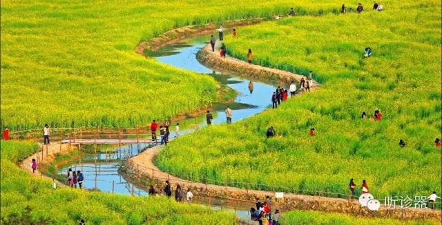 哪种天气更适合花粉过敏者踏青,在这个花粉过敏的季节里