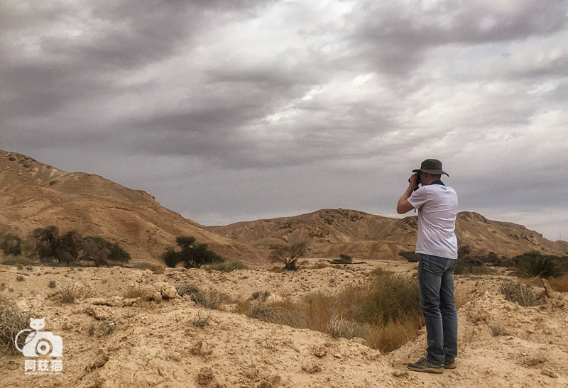 以色列，闯入“禁区”的观鸟人