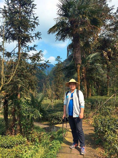 峨眉山一日观金顶日出吃住行攻略,峨眉山吃住行全攻略