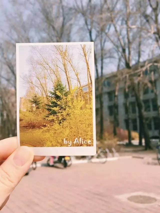 林志玲360无死角是真的美,全球最美360无死角的美女